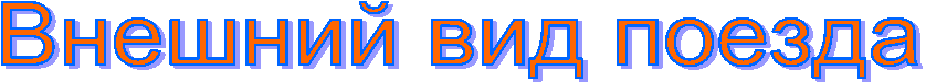 Внешний вид поезда